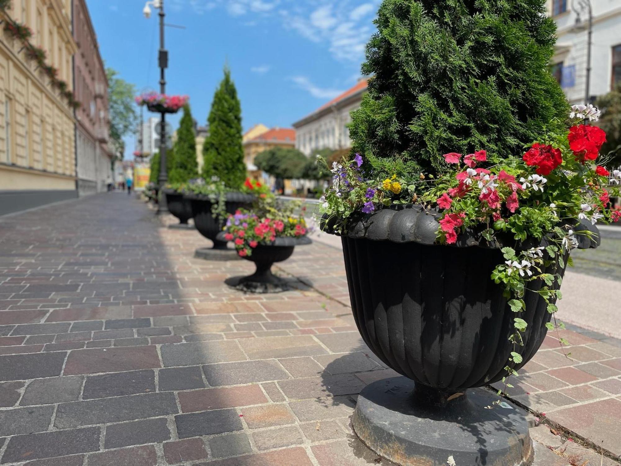 Central Apartment Stylovy Mezonet Košice Buitenkant foto